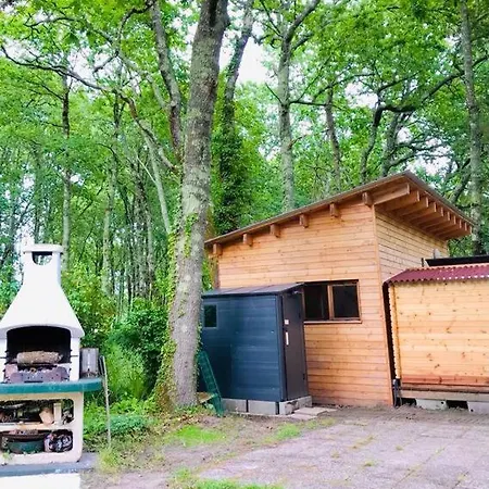 Chalet Tiny House Dans Les Bois A 10 Minutes De L'ocean Vensac
